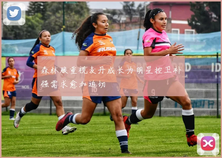 森林狼重视麦丹成长为明星控卫补强需求愈加迫切